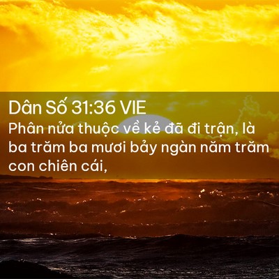 Picture 02 - Dân Số 31:36 VIE - Phân nửa thuộc về kẻ đã đi trận, - Bible Verse Picture