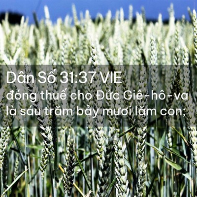 Picture 02 - Dân Số 31:37 VIE - đóng thuế cho Đức Giê-hô-va là sáu - Bible Verse Picture