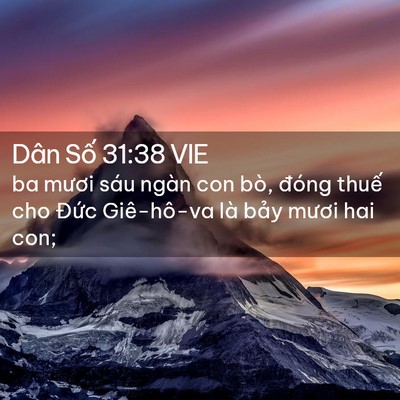 Picture 02 - Dân Số 31:38 VIE - ba mươi sáu ngàn con bò, đóng thuế cho - Bible Verse Picture