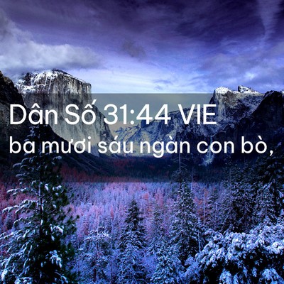 Picture 02 - Dân Số 31:44 VIE - ba mươi sáu ngàn con - Bible Verse Picture