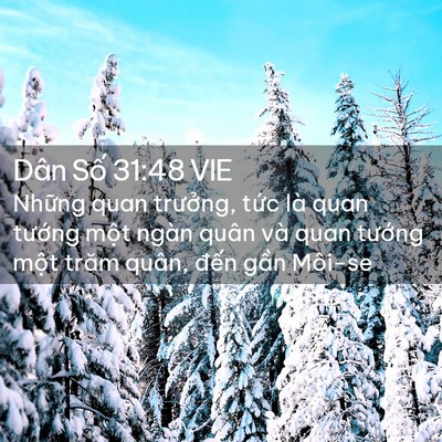 Picture 02 - Dân Số 31:48 VIE - Những quan trưởng, tức là quan tướng - Bible Verse Picture