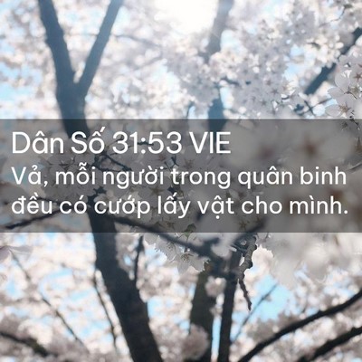 Picture 02 - Dân Số 31:53 VIE - Vả, mỗi người trong quân binh đều có - Bible Verse Picture