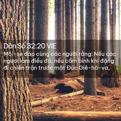 Picture 02 - Dân Số 32:20 VIE - Môi-se đáp cùng các người rằng: Nếu - Bible Verse Picture