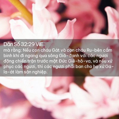 Picture 02 - Dân Số 32:29 VIE - mà rằng: Nếu con cháu Gát và con cháu - Bible Verse Picture