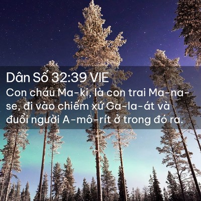 Picture 02 - Dân Số 32:39 VIE - Con cháu Ma-ki, là con trai Ma-na-se, đi vào - Bible Verse Picture