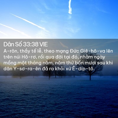 Picture 02 - Dân Số 33:38 VIE - A-rôn, thầy tế lễ, theo mạng Đức - Bible Verse Picture