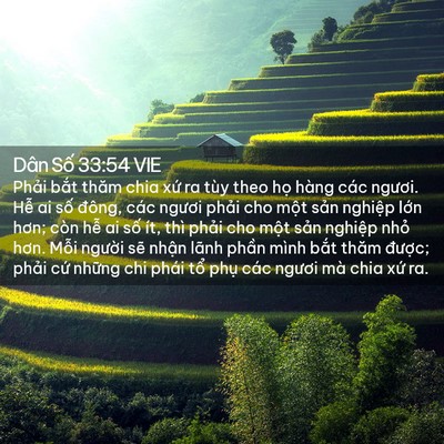 Picture 02 - Dân Số 33:54 VIE - Phải bắt thăm chia xứ ra tùy theo họ - Bible Verse Picture