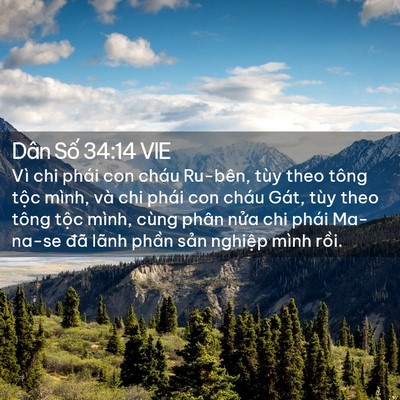 Picture 02 - Dân Số 34:14 VIE - Vì chi phái con cháu Ru-bên, tùy theo tông - Bible Verse Picture