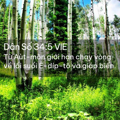 Picture 02 - Dân Số 34:5 VIE - Từ Aùt-môn giới hạn chạy vòng về - Bible Verse Picture