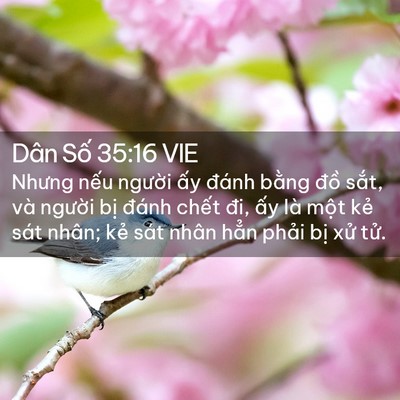 Picture 02 - Dân Số 35:16 VIE - Nhưng nếu người ấy đánh bằng đồ - Bible Verse Picture