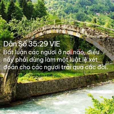 Picture 02 - Dân Số 35:29 VIE - Bất luận các ngươi ở nơi nào, điều - Bible Verse Picture