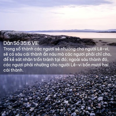 Picture 02 - Dân Số 35:6 VIE - Trong số thành các ngươi sẽ nhường cho - Bible Verse Picture