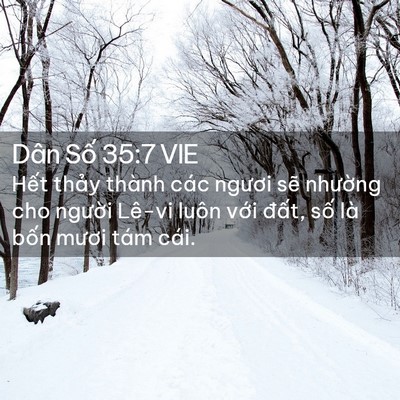 Picture 02 - Dân Số 35:7 VIE - Hết thảy thành các ngươi sẽ nhường - Bible Verse Picture
