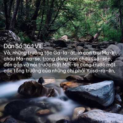 Picture 02 - Dân Số 36:1 VIE - Vả, những trưởng tộc Ga-la-át, là con - Bible Verse Picture