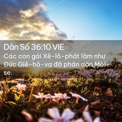 Picture 02 - Dân Số 36:10 VIE - Các con gái Xê-lô-phát làm như Đức - Bible Verse Picture