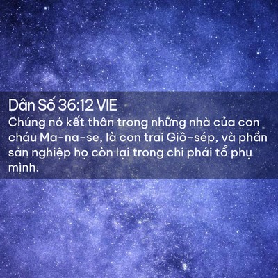 Picture 02 - Dân Số 36:12 VIE - Chúng nó kết thân trong những nhà của - Bible Verse Picture