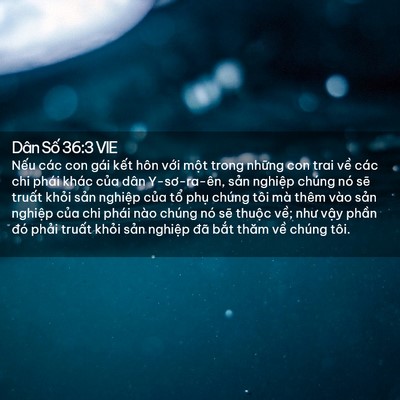 Picture 02 - Dân Số 36:3 VIE - Nếu các con gái kết hôn với một trong - Bible Verse Picture