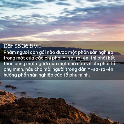 Picture 02 - Dân Số 36:8 VIE - Phàm người con gái nào được một - Bible Verse Picture