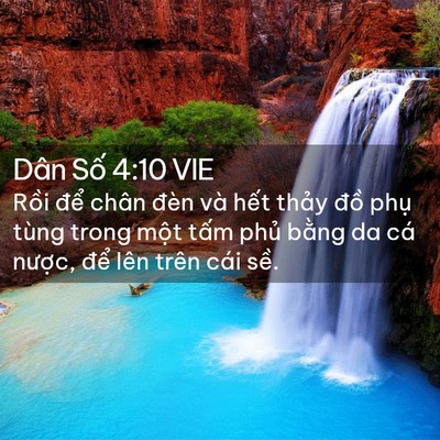 Picture 02 - Dân Số 4:10 VIE - Rồi để chân đèn và hết thảy đồ - Bible Verse Picture