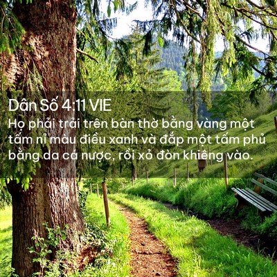 Picture 02 - Dân Số 4:11 VIE - Họ phải trải trên bàn thờ bằng vàng - Bible Verse Picture