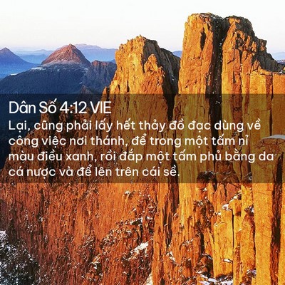 Picture 02 - Dân Số 4:12 VIE - Lại, cũng phải lấy hết thảy đồ - Bible Verse Picture