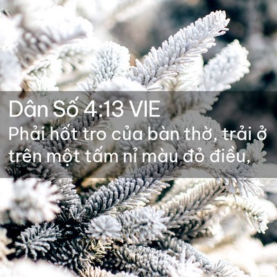 Picture 02 - Dân Số 4:13 VIE - Phải hốt tro của bàn thờ, trải ở - Bible Verse Picture