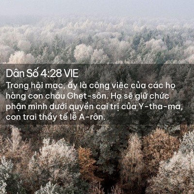 Picture 02 - Dân Số 4:28 VIE - Trong hội mạc, ấy là công việc của - Bible Verse Picture