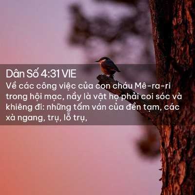 Picture 02 - Dân Số 4:31 VIE - Về các công việc của con cháu Mê-ra-ri - Bible Verse Picture