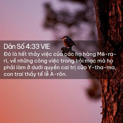 Picture 02 - Dân Số 4:33 VIE - Đó là hết thảy việc của các họ - Bible Verse Picture