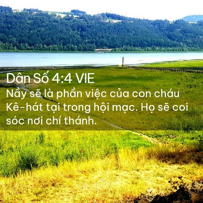 Picture 02 - Dân Số 4:4 VIE - Nầy sẽ là phần việc của con cháu - Bible Verse Picture