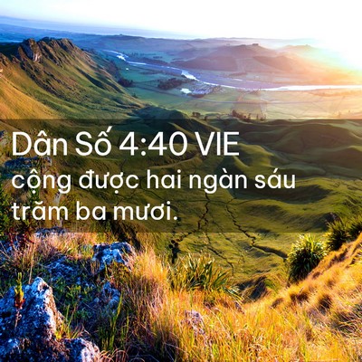 Picture 02 - Dân Số 4:40 VIE - cộng được hai ngàn sáu trăm ba - Bible Verse Picture