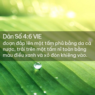 Picture 02 - Dân Số 4:6 VIE - đoạn đắp lên một tấm phủ bằng da - Bible Verse Picture