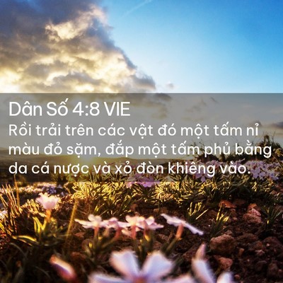 Picture 02 - Dân Số 4:8 VIE - Rồi trải trên các vật đó một tấm - Bible Verse Picture