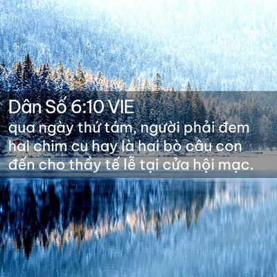Picture 02 - Dân Số 6:10 VIE - qua ngày thứ tám, người phải đem hai - Bible Verse Picture
