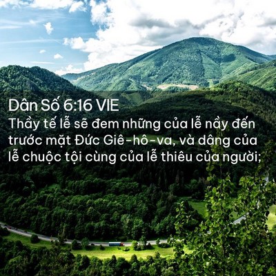 Picture 02 - Dân Số 6:16 VIE - Thầy tế lễ sẽ đem những của lễ - Bible Verse Picture
