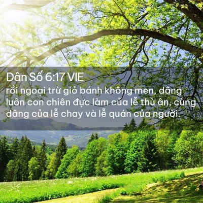 Picture 02 - Dân Số 6:17 VIE - rồi ngoại trừ giỏ bánh không men, dâng - Bible Verse Picture