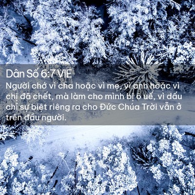 Picture 02 - Dân Số 6:7 VIE - Người chớ vì cha hoặc vì mẹ, vì anh - Bible Verse Picture