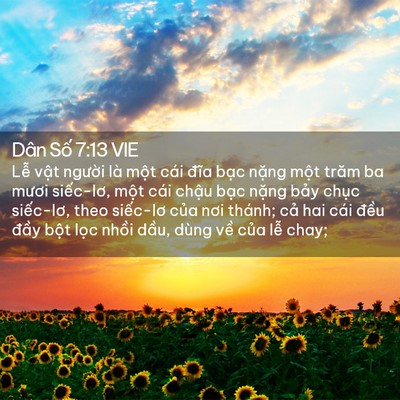 Picture 02 - Dân Số 7:13 VIE - Lễ vật người là một cái đĩa bạc - Bible Verse Picture