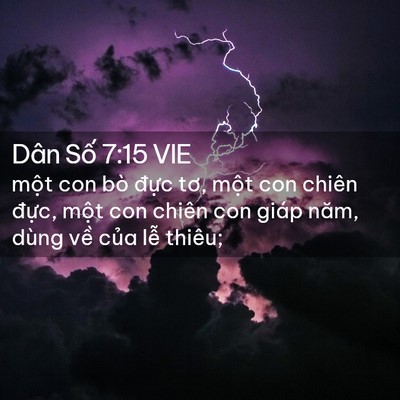 Picture 02 - Dân Số 7:15 VIE - một con bò đực tơ, một con chiên - Bible Verse Picture