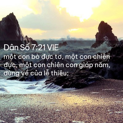 Picture 02 - Dân Số 7:21 VIE - một con bò đực tơ, một con chiên - Bible Verse Picture