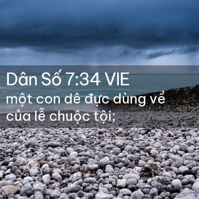 Picture 02 - Dân Số 7:34 VIE - một con dê đực dùng về của lễ - Bible Verse Picture
