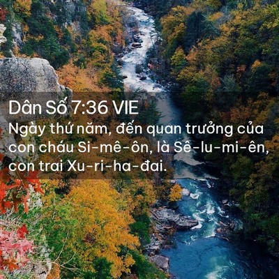Picture 02 - Dân Số 7:36 VIE - Ngày thứ năm, đến quan trưởng của con - Bible Verse Picture