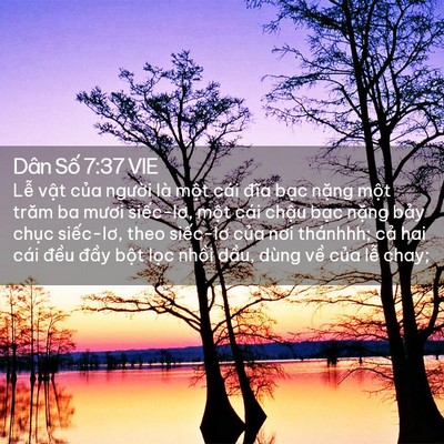Picture 02 - Dân Số 7:37 VIE - Lễ vật của người là một cái đĩa - Bible Verse Picture