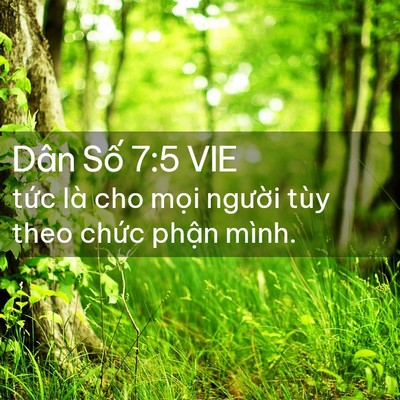 Picture 02 - Dân Số 7:5 VIE - tức là cho mọi người tùy theo chức - Bible Verse Picture