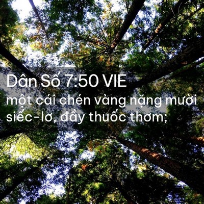 Picture 02 - Dân Số 7:50 VIE - một cái chén vàng nặng mười siếc-lơ, - Bible Verse Picture