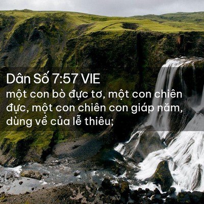Picture 02 - Dân Số 7:57 VIE - một con bò đực tơ, một con chiên - Bible Verse Picture