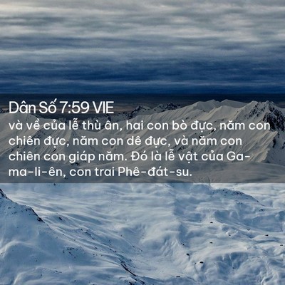 Picture 02 - Dân Số 7:59 VIE - và về của lễ thù ân, hai con bò đực, - Bible Verse Picture