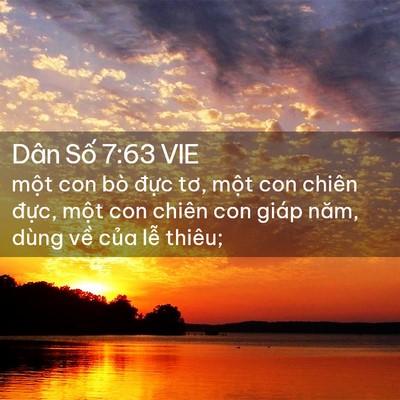 Picture 02 - Dân Số 7:63 VIE - một con bò đực tơ, một con chiên - Bible Verse Picture