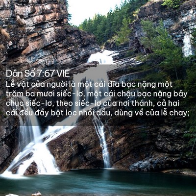 Picture 02 - Dân Số 7:67 VIE - Lễ vật của người là một cái đĩa - Bible Verse Picture