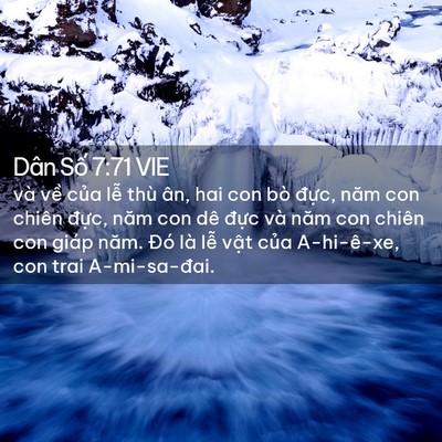 Picture 02 - Dân Số 7:71 VIE - và về của lễ thù ân, hai con bò đực, - Bible Verse Picture